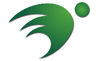 Dorelom artificial grass group co,ltd.