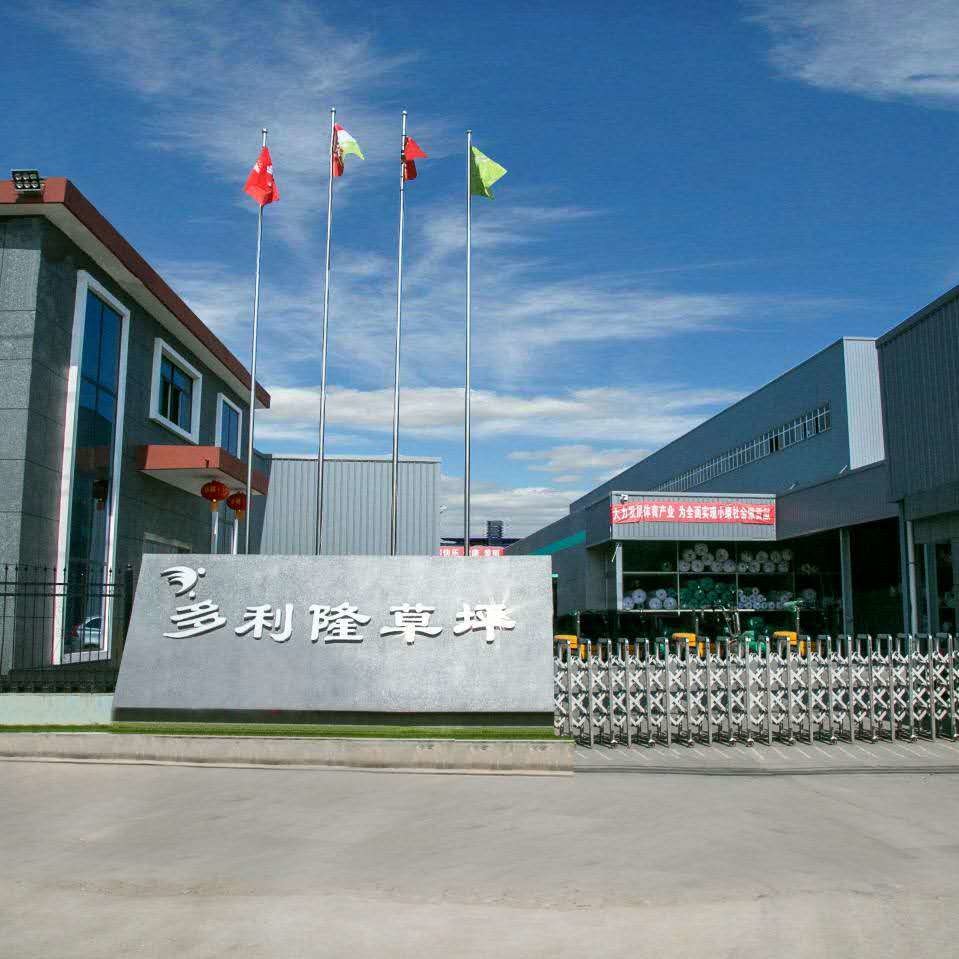 China Dorelom artificial grass group co,ltd. Perfil de la compañía