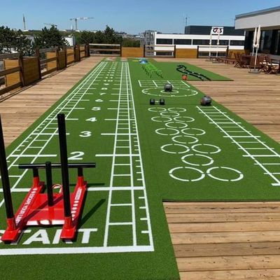 Alta densidad Logotipo personalizado Tamaño Accesorios de gimnasio PE Gimnasio Alfombra de suelo de hierba artificial para el deporte