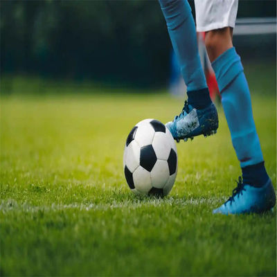 PE Mini campo de fútbol verde Campo de fútbol de césped artificial para pisos de campo de fútbol