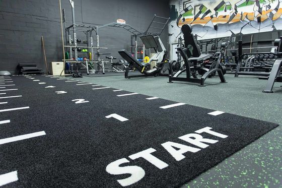Dorelom Fitness Césped Alfombra de suelo Negro Arco iris azul sintético Césped falso Gimnasio Hierba artificial para el fitness