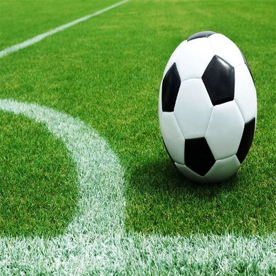 Césped natural sin relleno de 50 mm y 60 mm para deportes al aire libre en estadios de fútbol y gimnasios