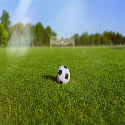 Césped natural sin relleno de 50 mm y 60 mm para deportes al aire libre en estadios de fútbol y gimnasios