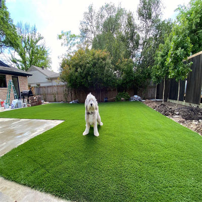25 mm 30-50 mm Alturas de pila Verde Rojo Negro Azul Blanco Rollo de alfombra de hierba sintética