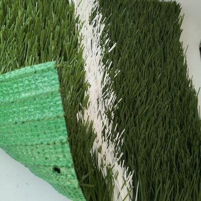 20 puntos/m Proporción de puntos 55 mm Césped artificial para el campo de fútbol Hierba sintética