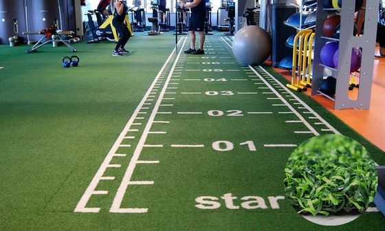 Alta densidad 63000 puntos/m2 Hierba de gimnasio personalizada para el entrenamiento en trineos y pisos deportivos