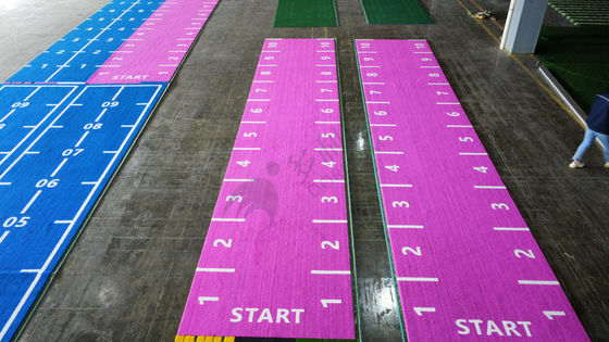 Césped artificial verde pre-cosido Césped de gimnasio para gimnasio Pista de carrera de trineo de potencia 15 mm Alturas de pila