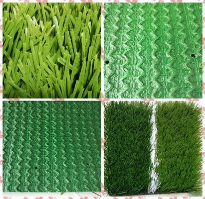 Césped de campo de fútbol probado por MSDS Césped artificial para fútbol profesional