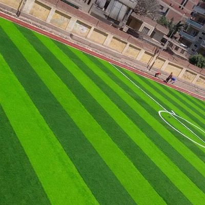 Campo de fútbol Forma W Bicolores Resistente a los rayos UV Monofilamento PE Césped artificial