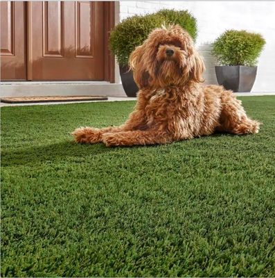 Césped artificial de aspecto natural para jardín y mascotas 2m/4m*25m 3/8inch Guage