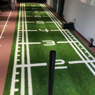 Deporte Otros jardines artificiales Paisaje para el golf Campos de fútbol Gimnasio Césped sintético