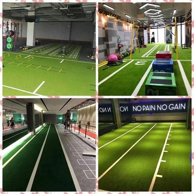 Pisos deportivos Balanza de ejercicios Césped artificial para el gimnasio