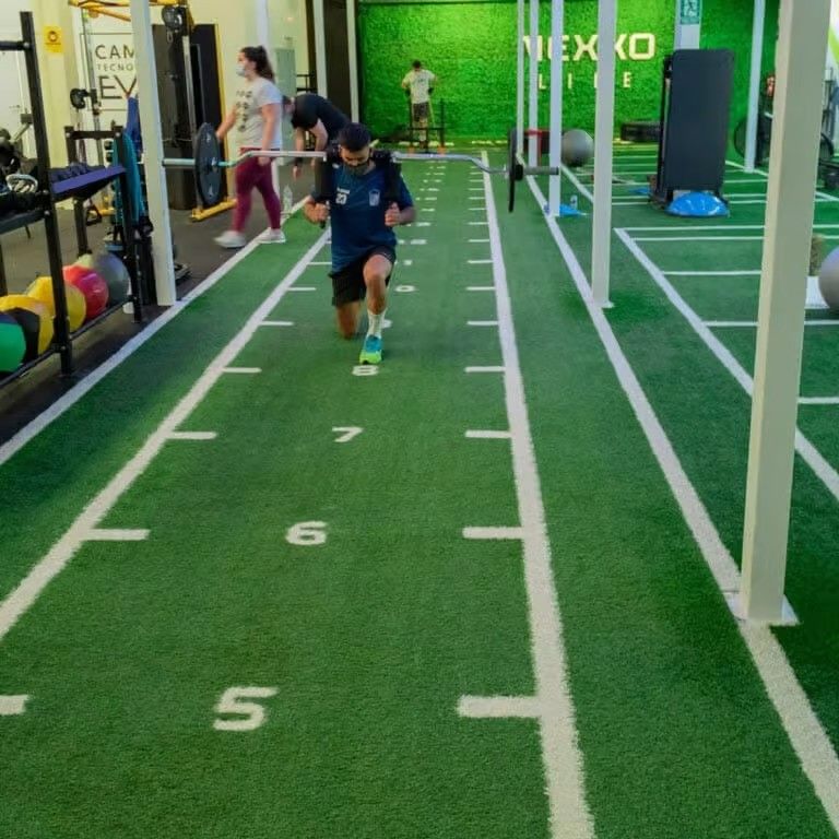 Corsal verde de césped de césped artificial de 15 mm de altura para gimnasio comercial