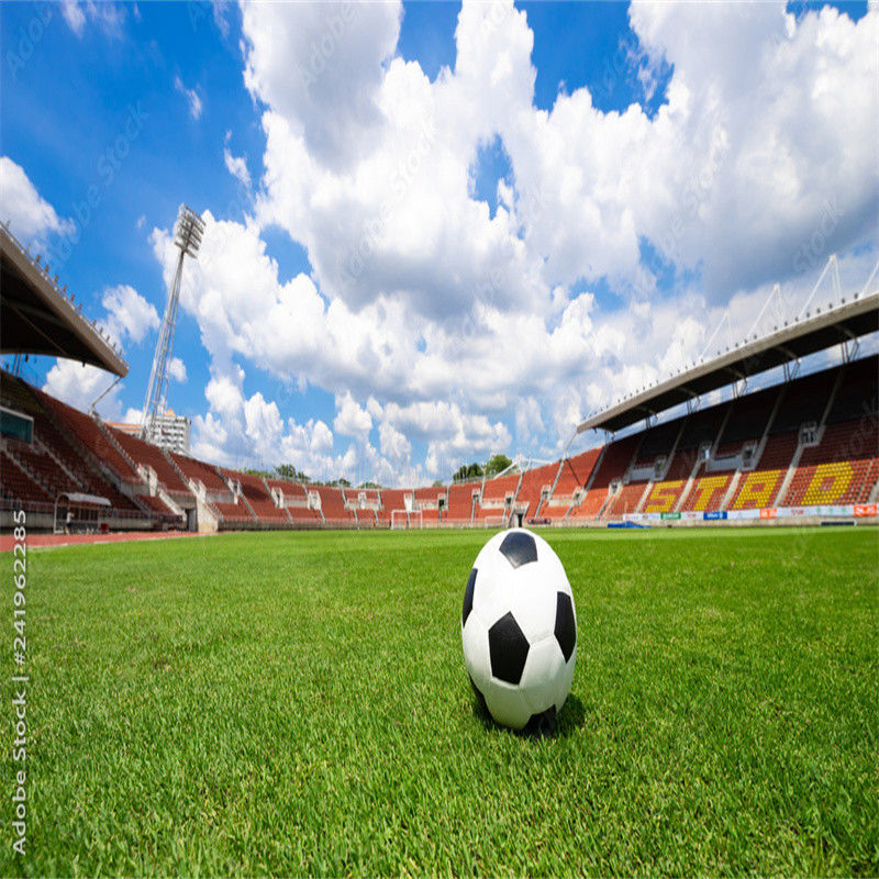 PE Mini campo de fútbol verde Campo de fútbol de césped artificial para pisos de campo de fútbol