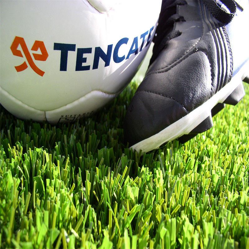 Césped natural sin relleno de 50 mm y 60 mm para deportes al aire libre en estadios de fútbol y gimnasios