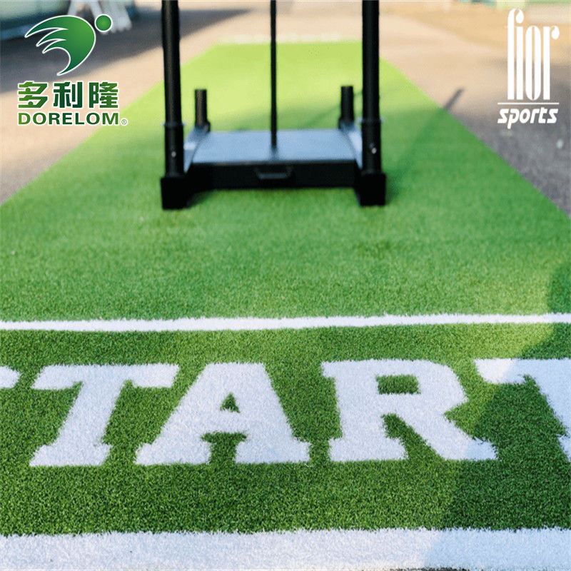 Jardín de deportes gimnasio de suelo con Dorelom Logotipo de trineo personalizado pista de trineo hierba artificial
